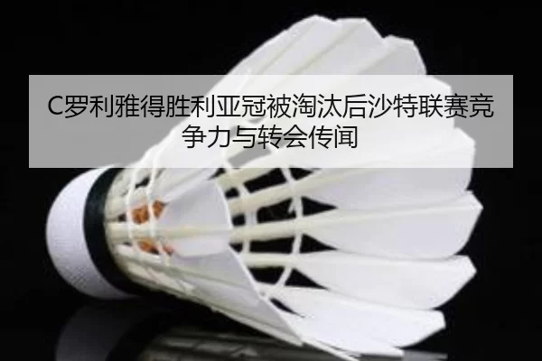 luo-li-ya-de-sheng-li-ya-guan-bei-tao-tai-hou-sha-te-lian-sai-jing-zheng-li-yu-zhuan-hui-chuan-wen-2-522.jpg